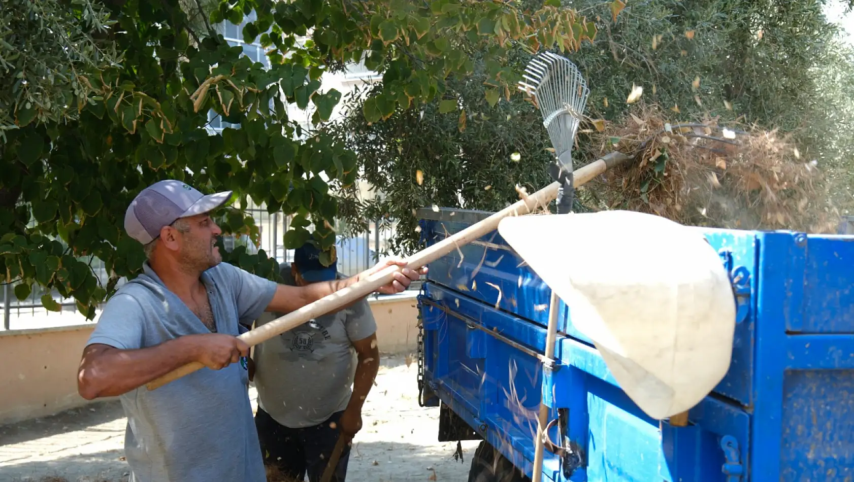 Tire Belediyesi'nden eğitime destek: Okul bahçeleri yeni eğitim dönemine hazırlanıyor