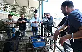 Başkan Okuroğlu Tire Belediyesi Hayvan Pazarı esnafını ziyaret etti