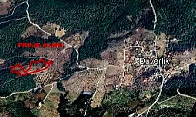 Zeytinlik alanda define arama ÇED Yönetmeliği'ne aykırı bulundu