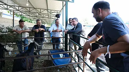 Başkan Okuroğlu Tire Belediyesi Hayvan Pazarı esnafını ziyaret etti
