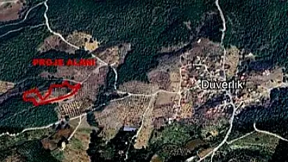 Zeytinlik alanda define arama ÇED Yönetmeliği'ne aykırı bulundu