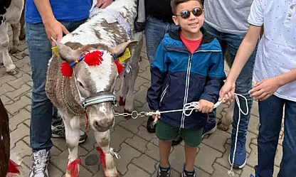 En güzel buzağı seçildi