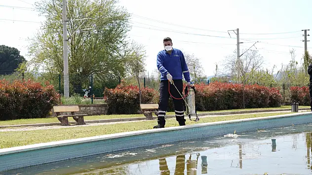 Tire'de sivrisineklere karşı mücadele başladı
