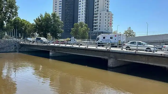 Bakanlık, Körfez'deki balık ölümleri için numune aldı