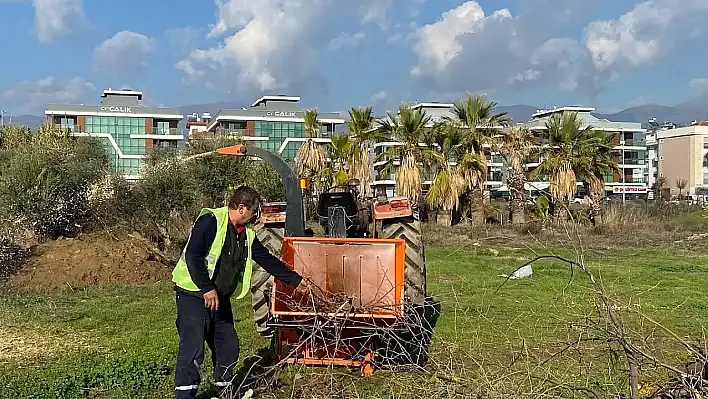 Budanan ağaçlar ısıtacak