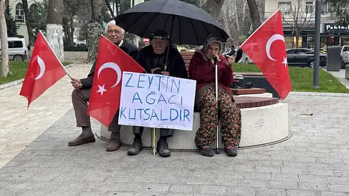 Çayırlı köyü sakinleri: Zeytin ağaçlarımızı kesmeyin