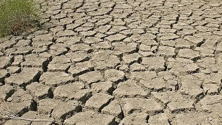 Ege Bölgesi için şiddetli kuraklık alarmı