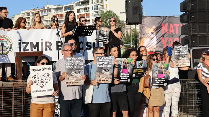 Sokak hayvanları için kafesli protesto: Aktivistler tek yürek oldu