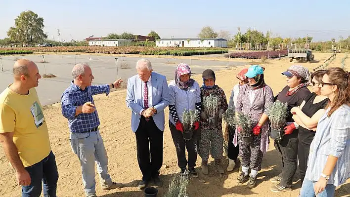 Ödemiş Belediyesi'nden 'Tıbbi-Aromatik Bitki Bahçesi' hamlesi