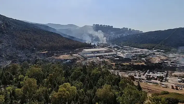 Orman alanları yangınlardan değil tahsislerden kaybediliyor!