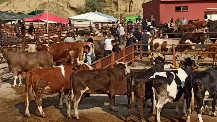 Şap salgınına karşı acil önlem: Hayvan pazarlarına geçici kilit