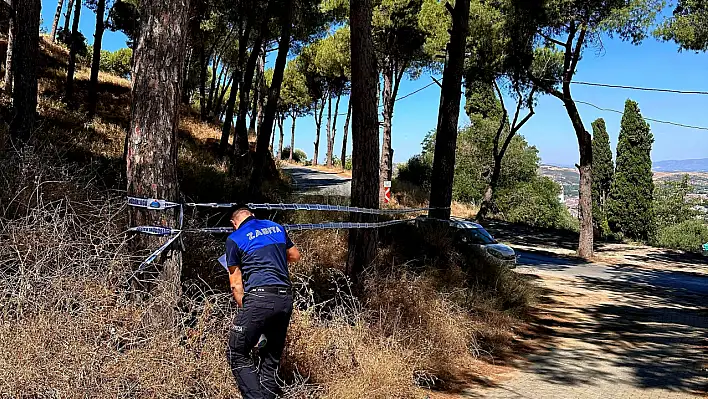 Tire Belediyesi'nden orman yangınlarına karşı sıkı tedbir