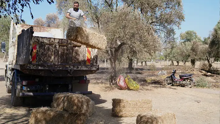 Tire Belediyesi'nden yangın bölgesine yem ve saman desteği