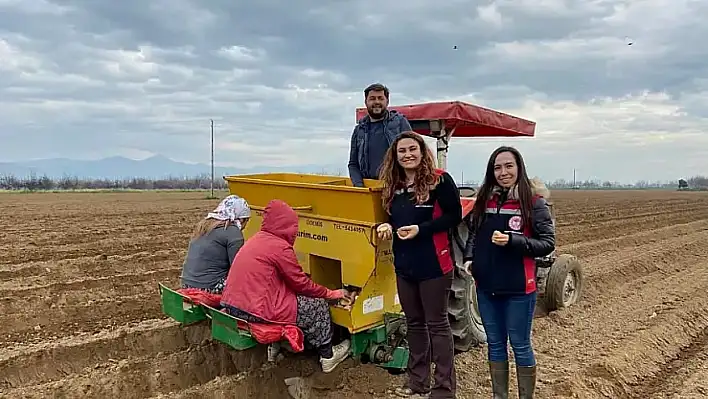 Tire'de tarım sezonu bereketle devam ediyor