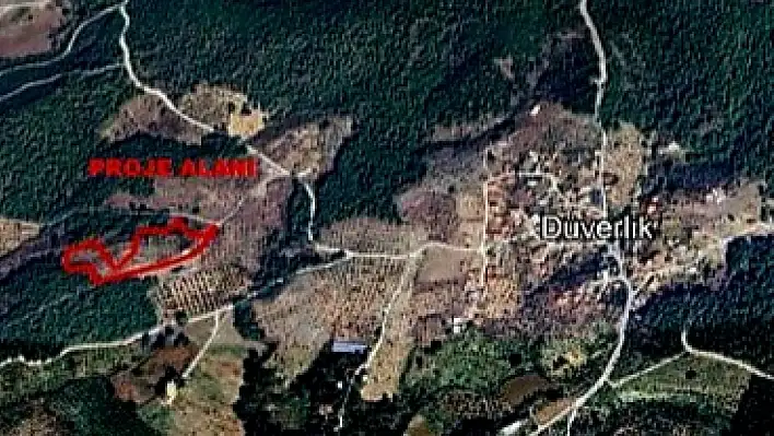 Zeytinlik alanda define arama ÇED Yönetmeliği'ne aykırı bulundu