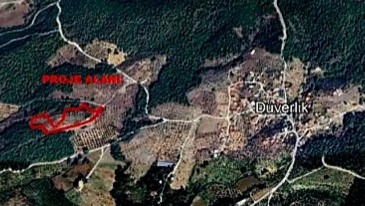 Zeytinlik alanda define arama ÇED Yönetmeliği'ne aykırı bulundu